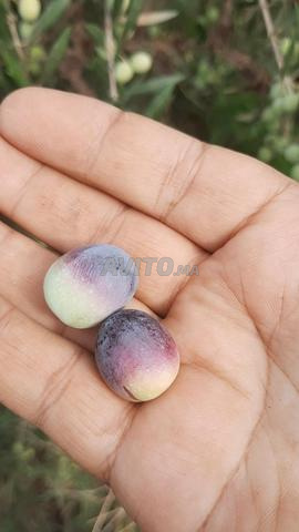 الخميس أيت يادين الخميسات - 2