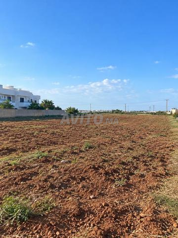 3 Hectares à vendre titrés à Dar Bouazza - 2