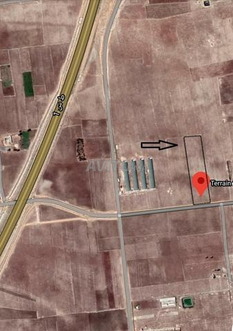 Terrain de 13180 m² à Péage Sidi Smail El Jadida - 2