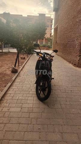 c50 نقي 10/10 - 2
