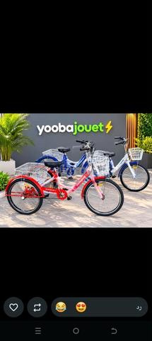 TRICYCLE POUR BRAVO 20 POUCES - 2