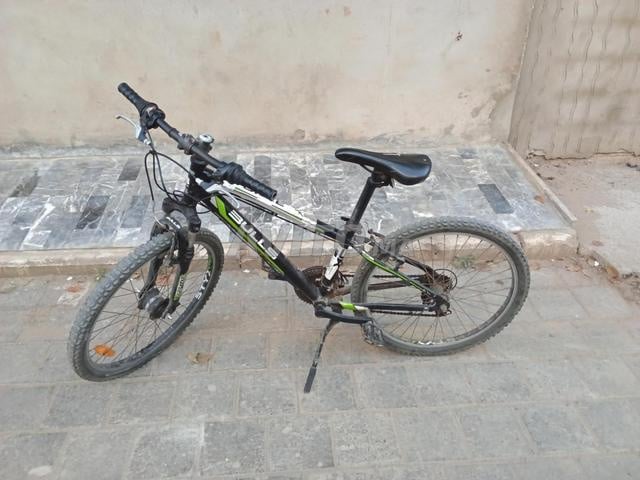 سلا عامر