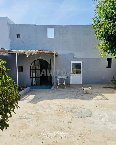 Mini Villa 3 CH. Cour et Rooftop - 2