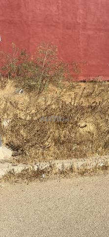 Sidi Allal El Bahraoui - 2