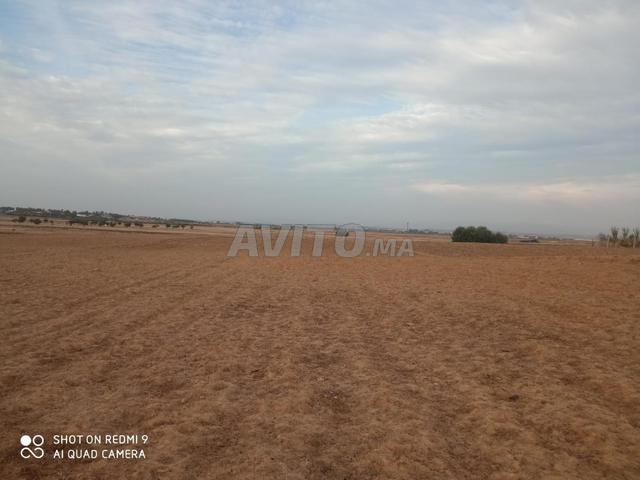 Ksar El Kbir ... environ combien et demi - 2