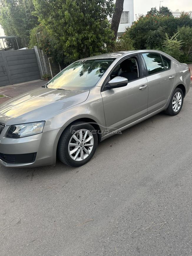 skodarabat