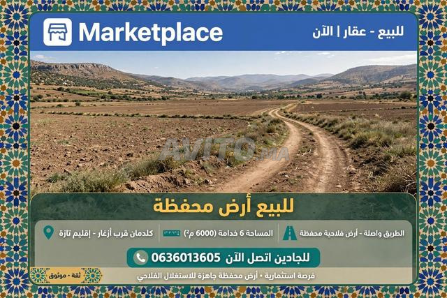Kaldaman terrain agricole 6000m²