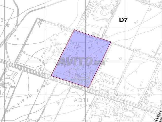 Terrain 1,5 Ha en zone D7 à Labissa Bouskoura - 2