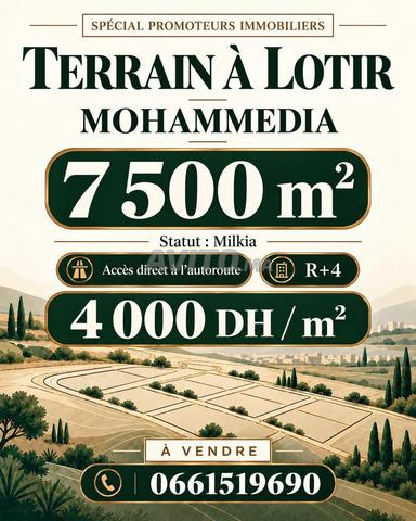 Terrain à lotir