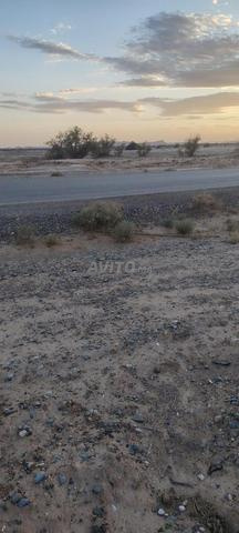 Route El Jorf El Hassana - 2