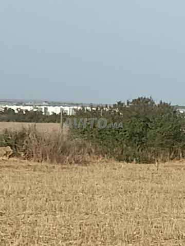 Hectare titri proche de la résidence, bon pour construire une villa - 2