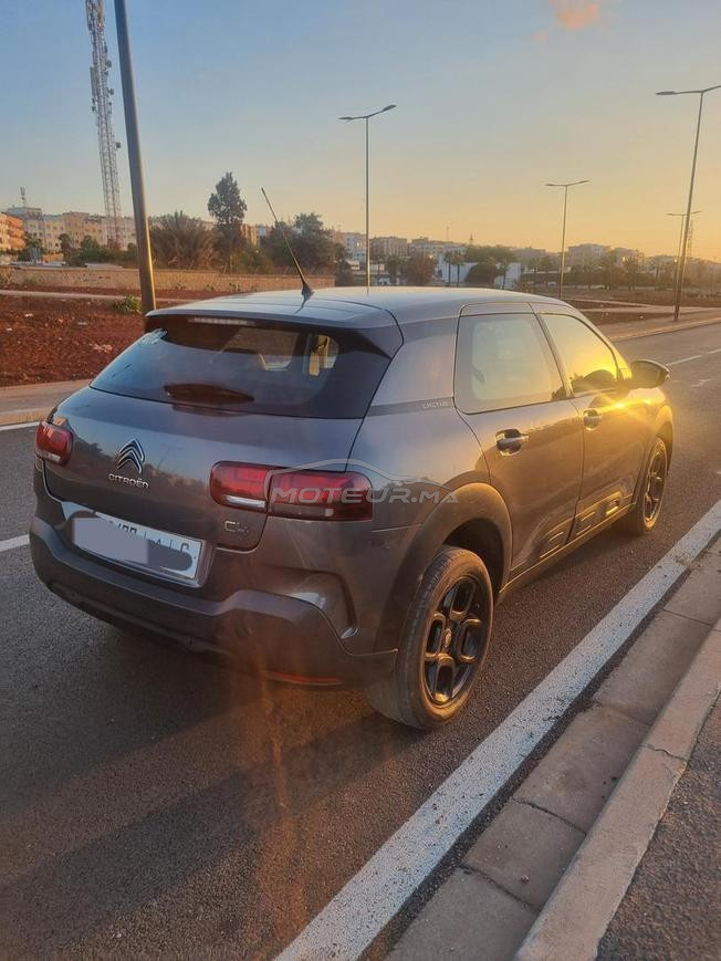 C4 cactus 2019