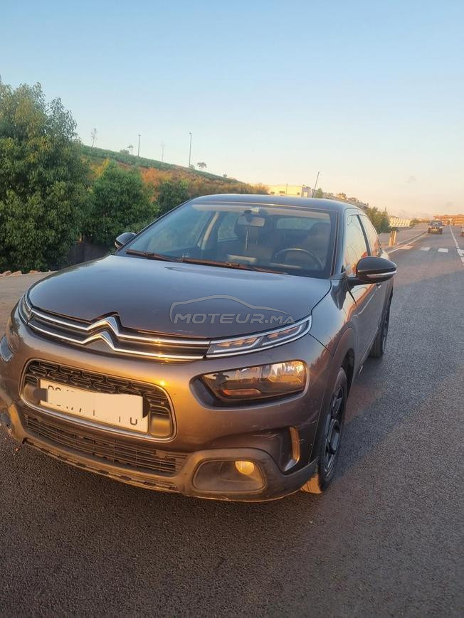 C4 cactus 2019