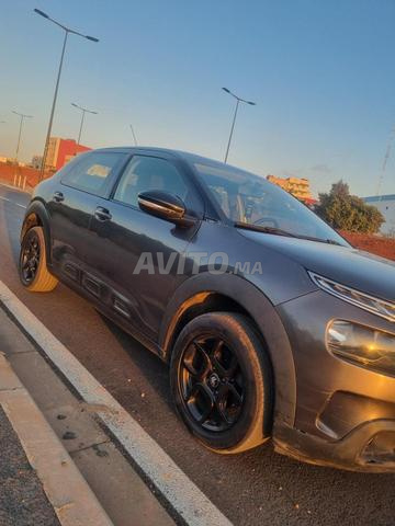 C4 Cactus 2019 - 2