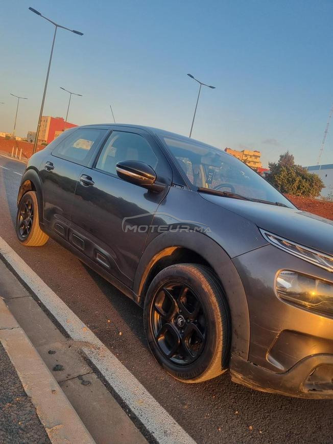 C4 cactus 2019
