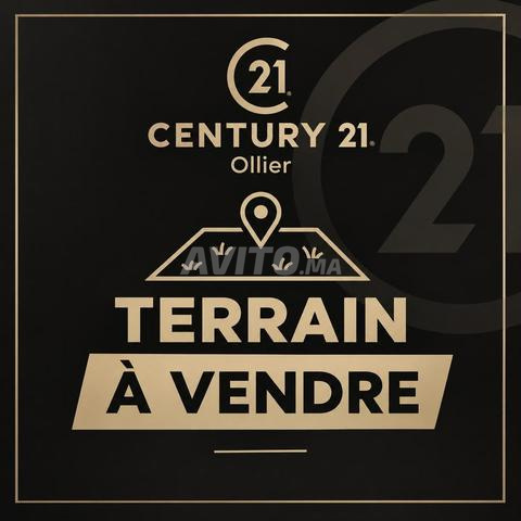 TERRAIN RARE À MAARIF - R5