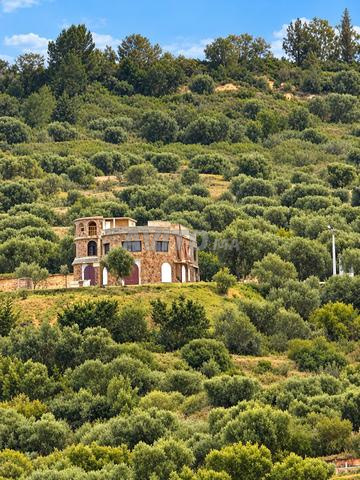 Ferme Titrée 9,5 Ha avec Villa – Lac Dayet Roumi - 2