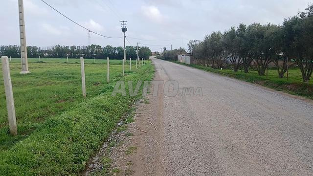 Terrain agricole pour construire une ferme - 2