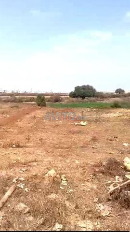 Vente Terrain nu à Casablanca