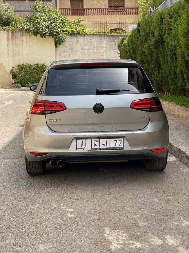 Golf 7                  