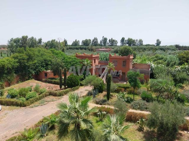 Vente Ferme à Marrakech