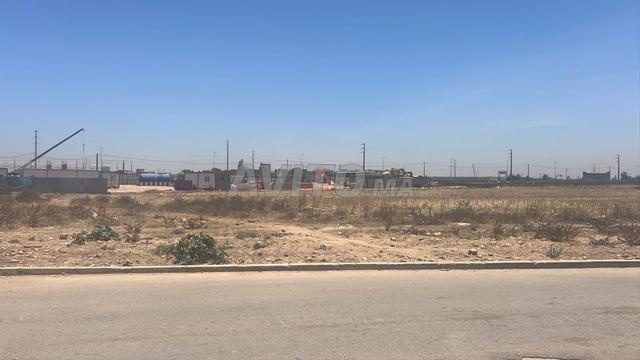 Vente Terrain nu à Bouskoura