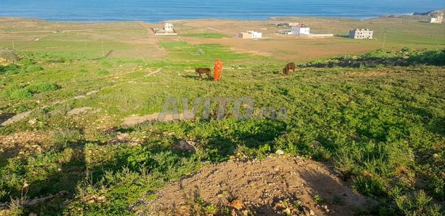 Vente Terrain nu à Sidi Ifni