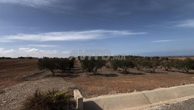أرض للبيع بمدينة الناظور، محفظة، 3817م²