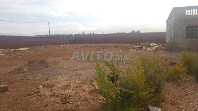 Ferme titrée à vendre, superficie 1 hectare et 300 m² - 2