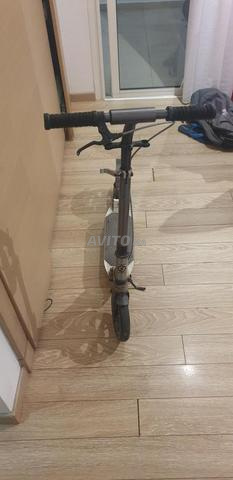 Trotinette Oxelo professionnelle - 2
