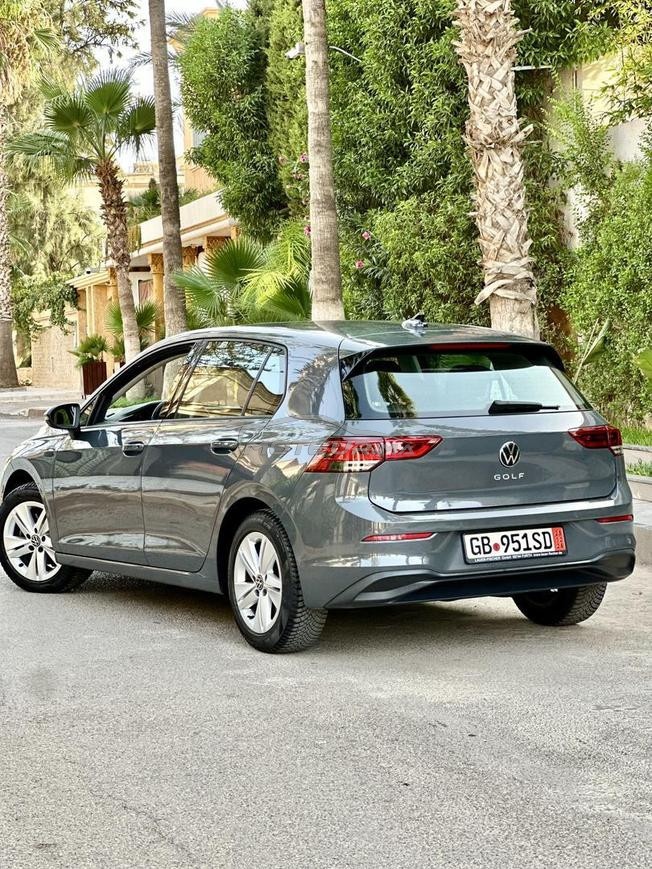 golf 8 tdi 2L
