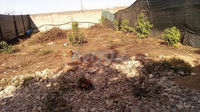 سيدي بوقنادل - 2