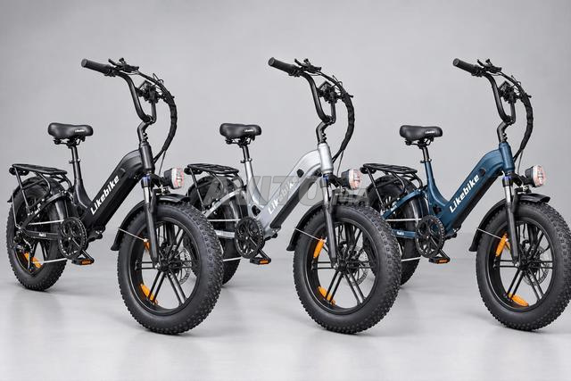 Vélo Électrique LIKEBIKE RAIL 5 PRO - 2