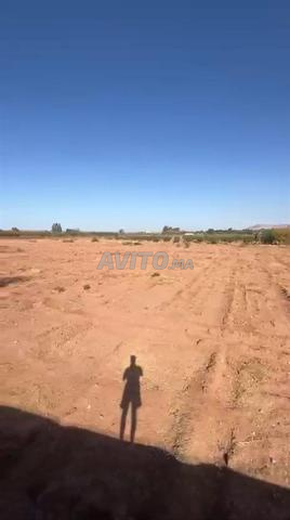 Hectare titré à vendre - 2