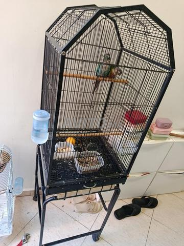 Couple Moulina avec cage - 2