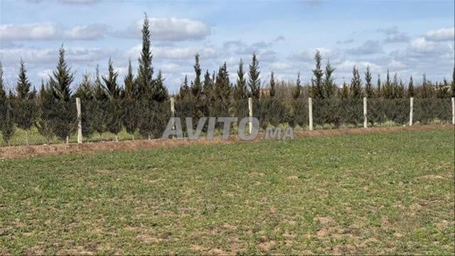 Terrains titrés et villas – Bir Jdid - 2