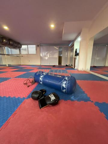 Sace Kickboxing للبيع - 2
