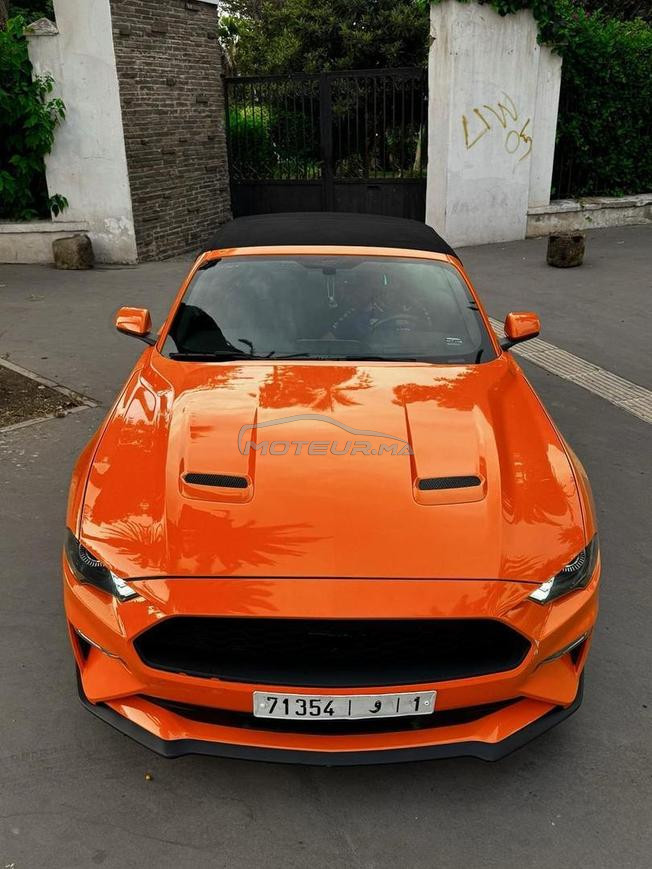 MUSTANG ECOBOOST 50K