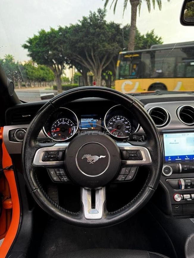 MUSTANG ECOBOOST 50K