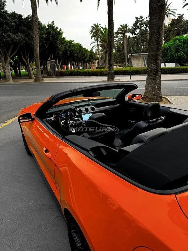 MUSTANG ECOBOOST 50K