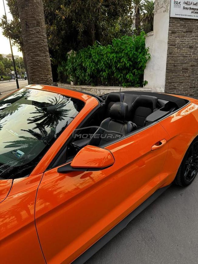 MUSTANG ECOBOOST 50K