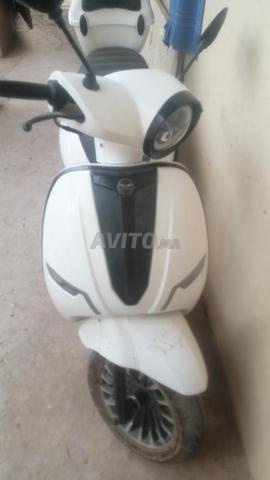 Scooter Cappuccino modèle 2024 avec silencieux 80 - 2