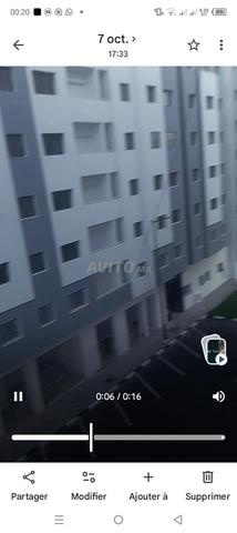 النخيل الذهبي - 2