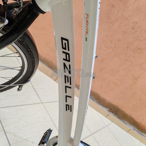 vélo gazelle  - 2
