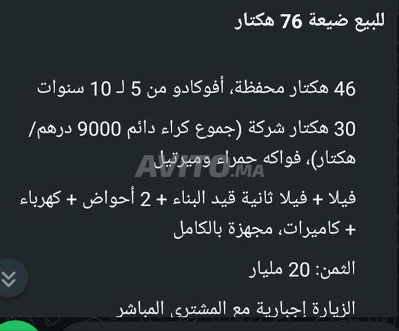 بيع 76 هكتار 46 محفظة والباقي شركة جموع