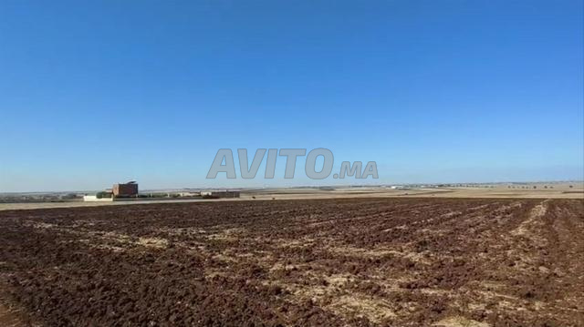 Terrain agricole 1.5 hectare propriété sur la route Ouled Said - 2
