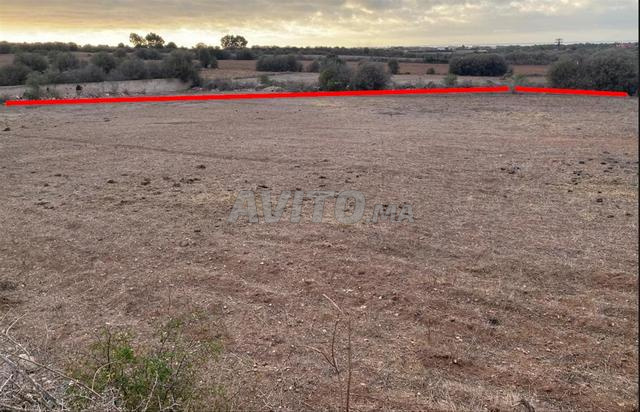 Terrain pour Projet immobilier R2 à Azemmour