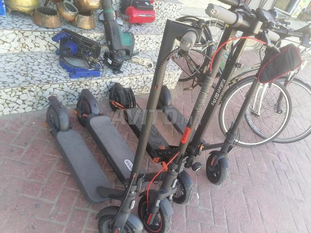الجديدة الجد - 2