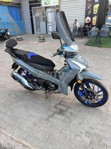 Moto Reef - 2