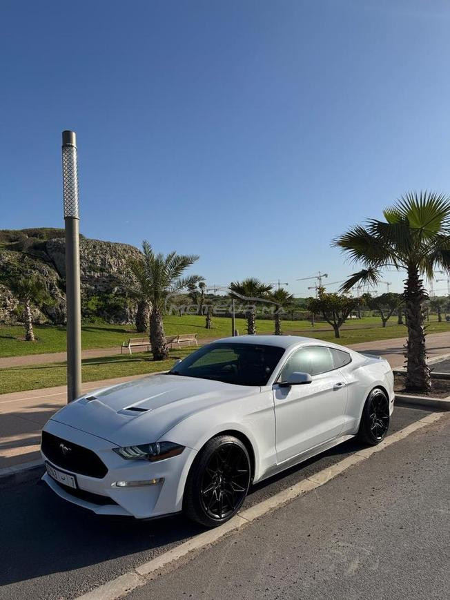 ford mustang cope 2020dewana2024 